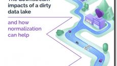 The downstream impacts of a dirty data lake and how normalization can help